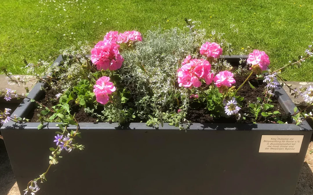 „Blumenschmuck in der Fußgängerzone“