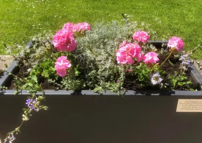 „Blumenschmuck in der Fußgängerzone“